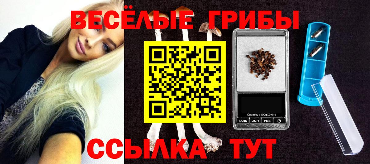 Галлюциногенные грибы GOLDEN TEACHER  закладки  Партизанск  Вход с VPN 