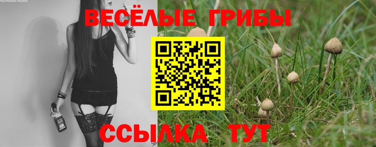 Псилоцибиновые грибы Magic Shrooms Партизанск